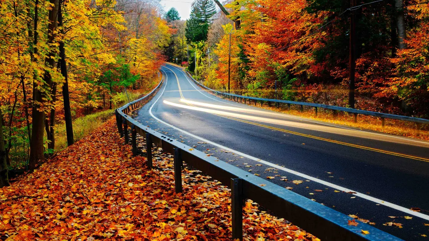 Autumn, rain and fallen leaves on the road